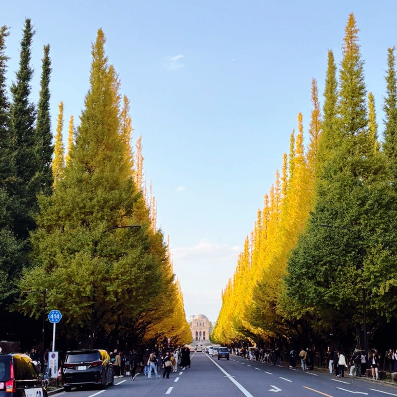 image from Meiji Jingu Gaien Tokyo Ginkgo Avenue: November Autumn Foliage #1 Spot, Light-Up & 2025 Christmas Market Guide