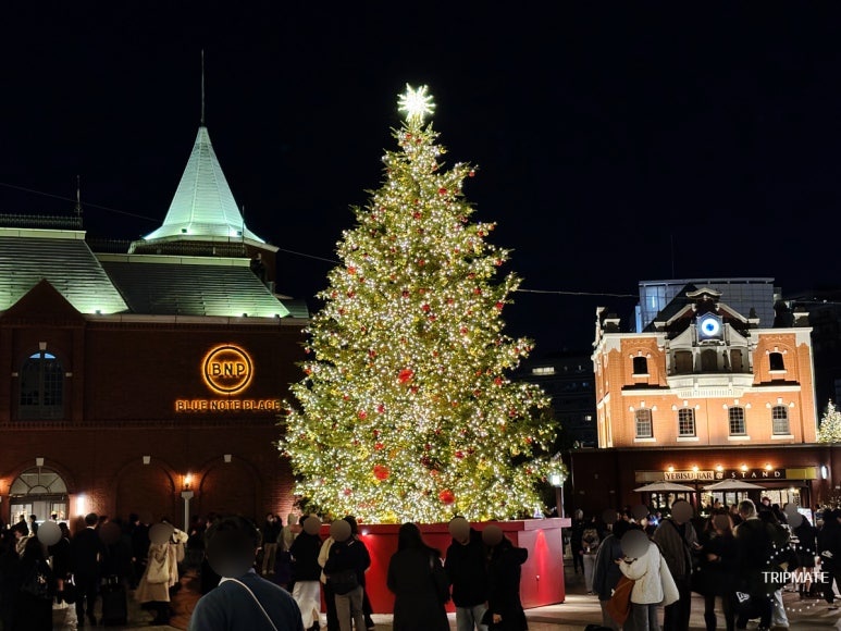image from 2025 Yebisu Garden Place Illumination & Christmas Market Complete Guide (Duration, Baccarat Chandelier, Food Trucks)