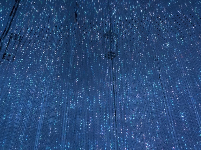 teamLab Borderless flowing light artwork