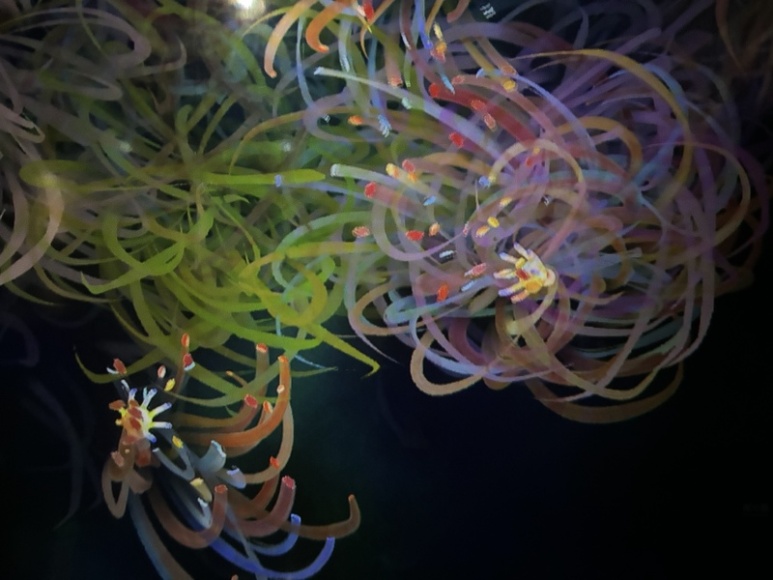 teamLab Borderless colorful digital projection room