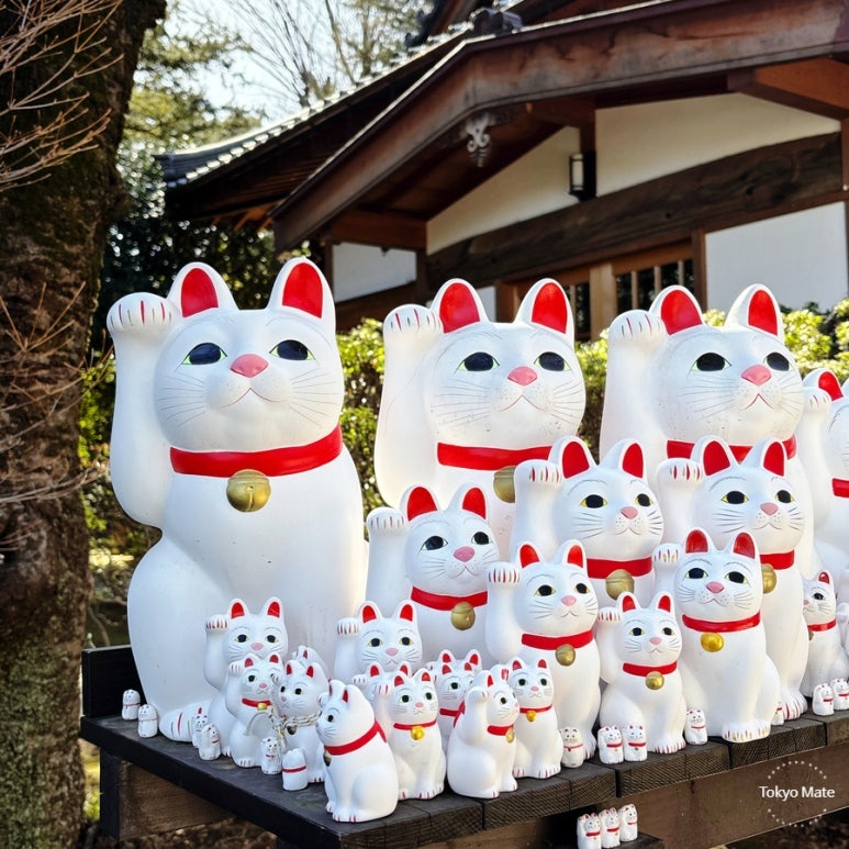 Tokyo Gotokuji Temple Guide | Birthplace of Maneki-neko & February 22 Cat Day