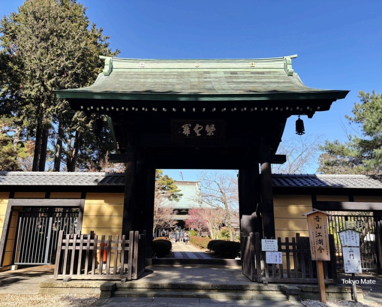 Gotokuji Temple sanmon gate with Hekiunkan plaque and pine tree-lined path