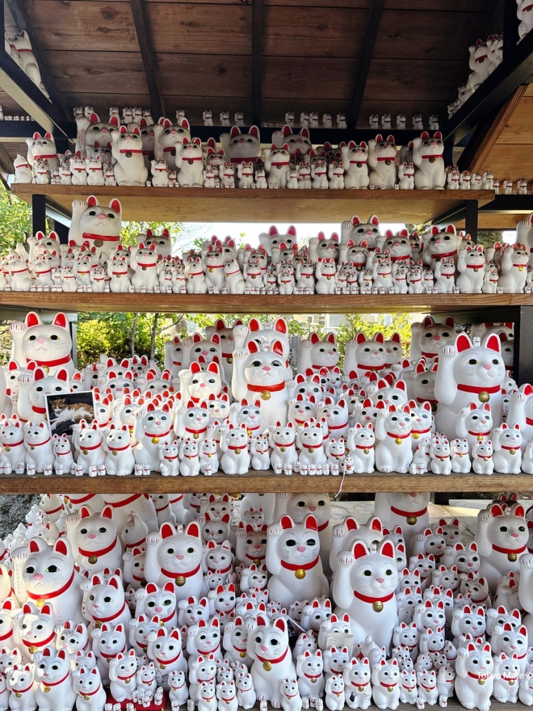 Close-up of maneki-neko figurines at the Gotokuji offering area returned by grateful visitors