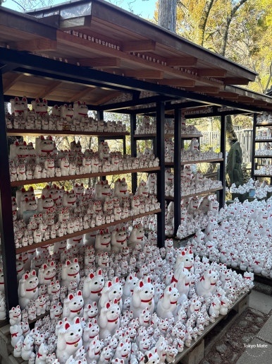 Detailed view of maneki-neko offerings