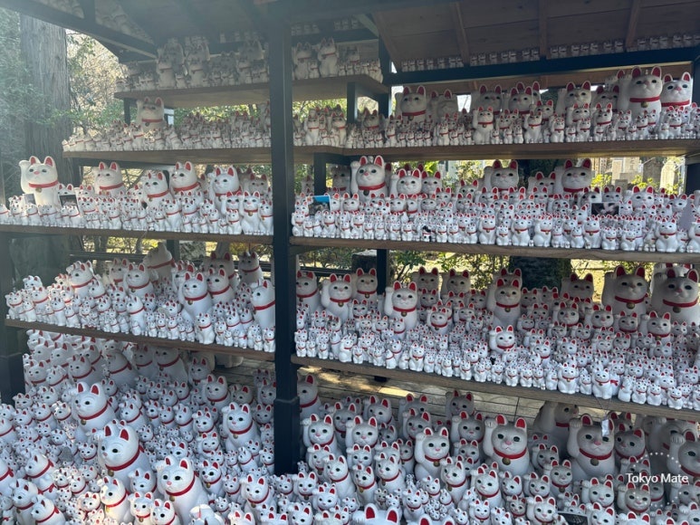 Panoramic view of maneki-neko offering area at Gotokuji