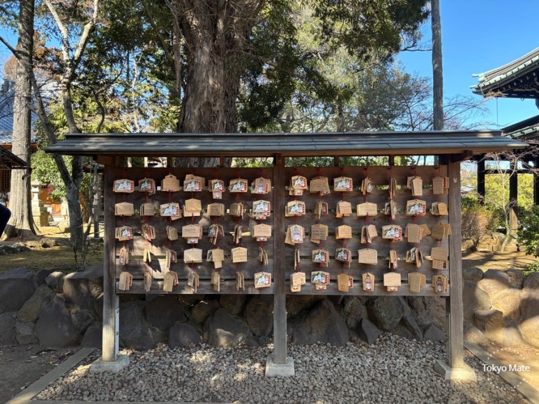 Gotokuji temple office goods display with maneki-neko figurines and charms