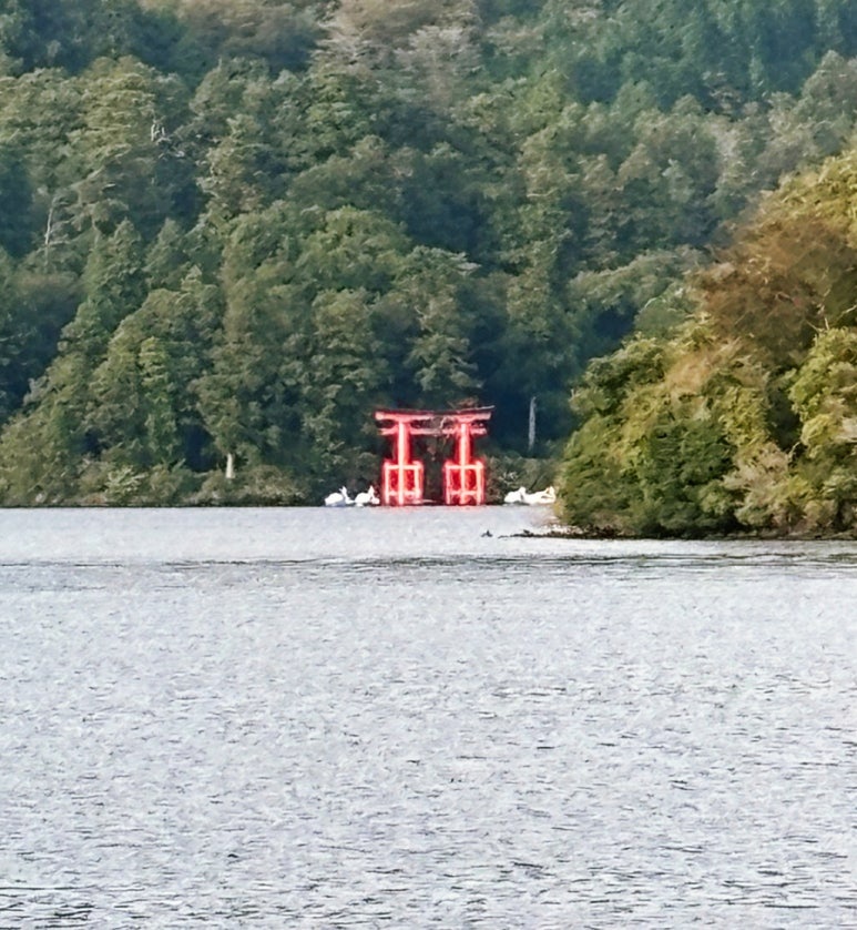 箱根神社 鳥居