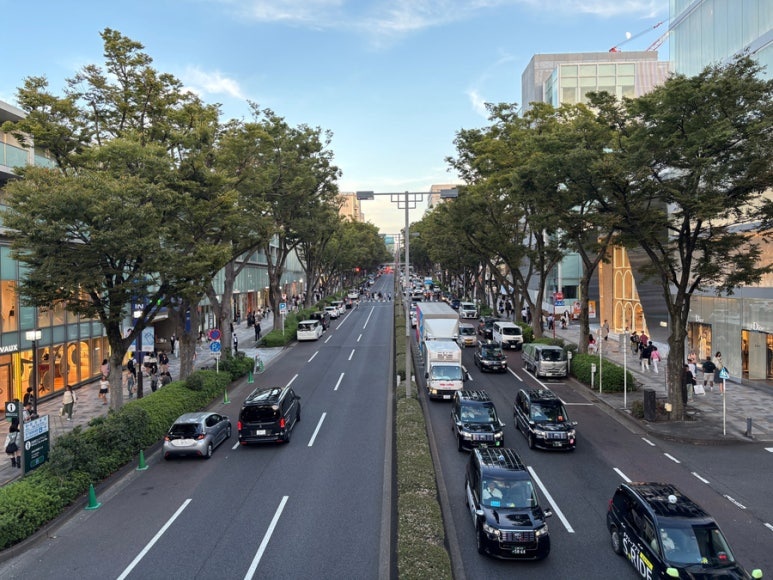 Omotesando zelkova tree-lined avenue