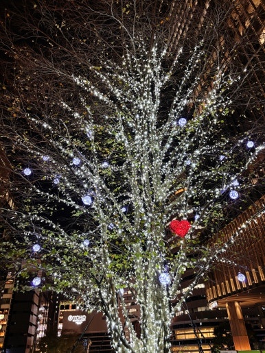 Hibiya Midtown Step Square katsura tree and night view