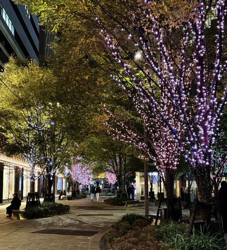 Hibiya Nakadori illumination November to December