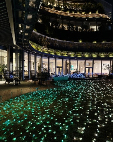 Hibiya Park night view from Hibiya Midtown 6th floor Park View Garden