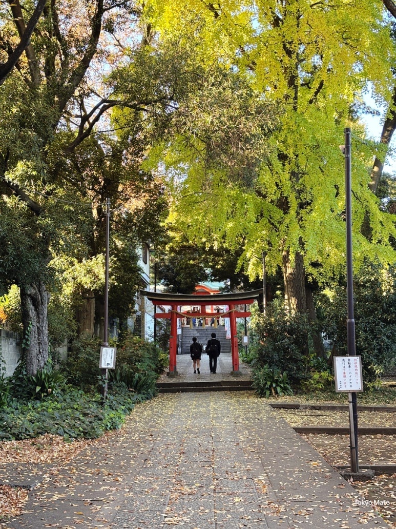 Jiyugaoka Kumano Shrine entrance with traditional stone steps and serene atmosphere