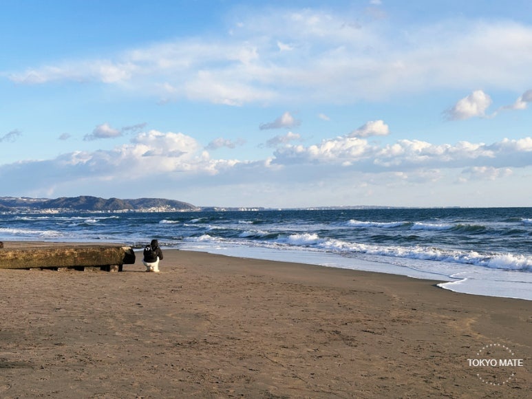 Kamakura Shichirigahama Beach
