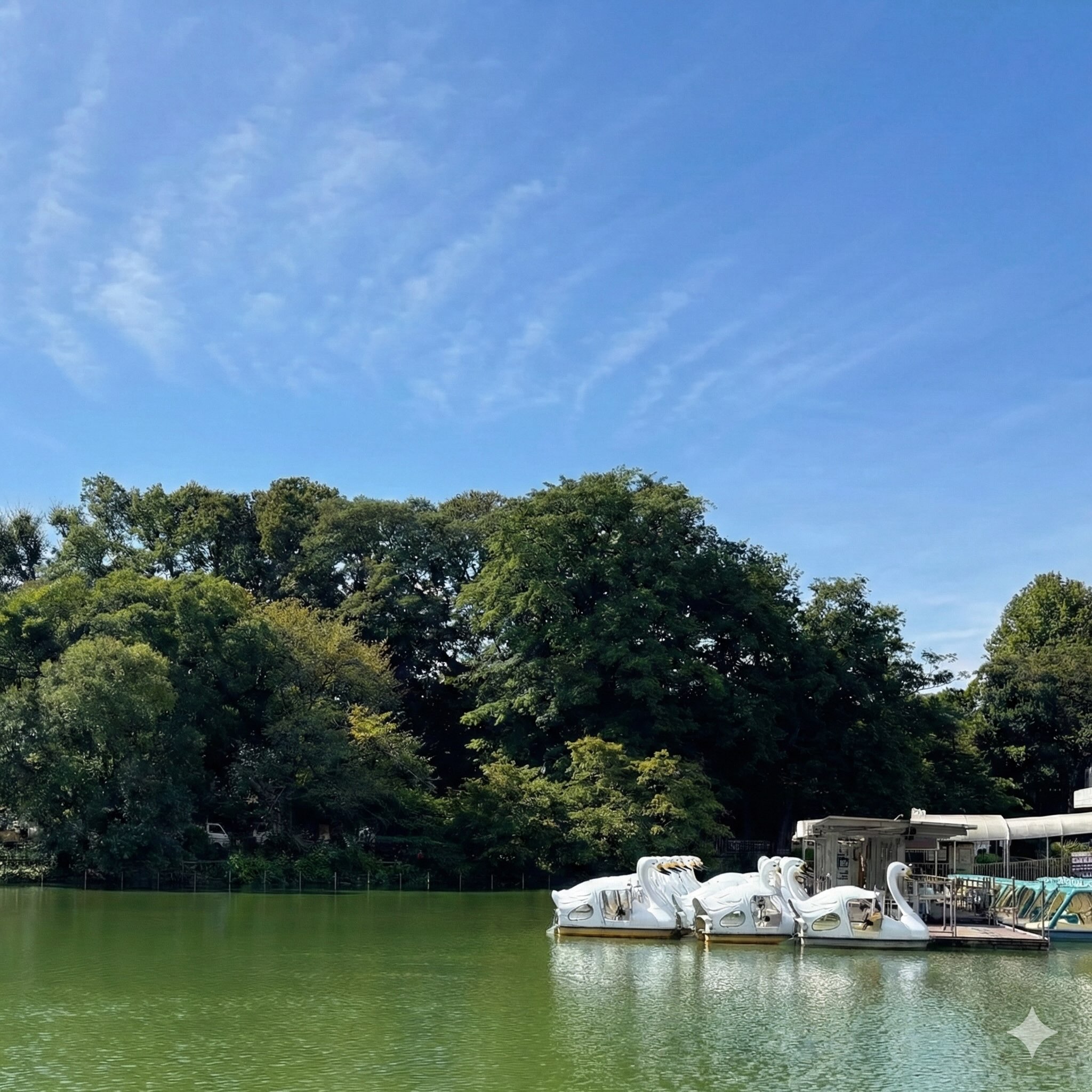 Kichijoji Tokyo complete guide - Inokashira Park, vintage shops, Ghibli Museum