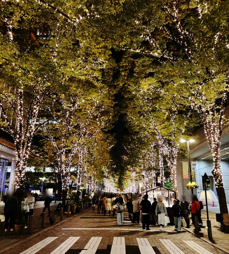 Marunouchi Illumination Night View