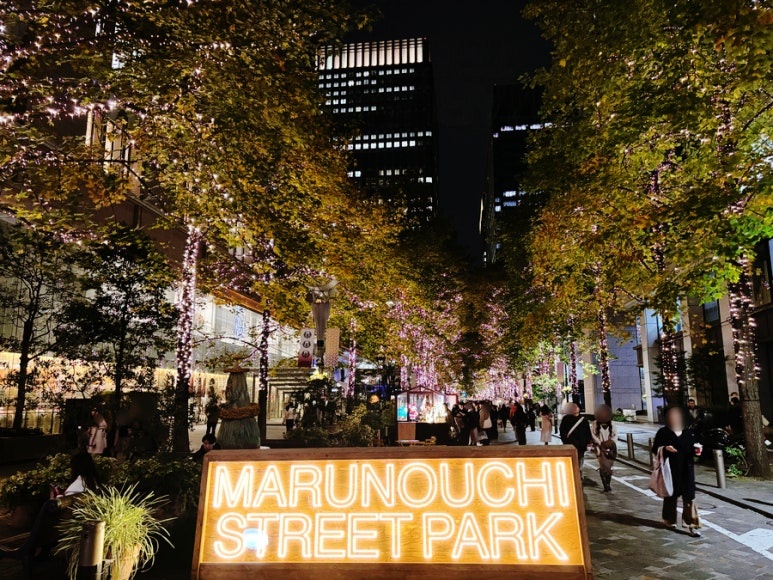 Marunouchi Nakadori Illumination Street View