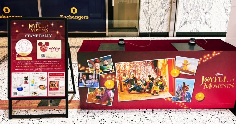 Best Photo Spots for Illumination