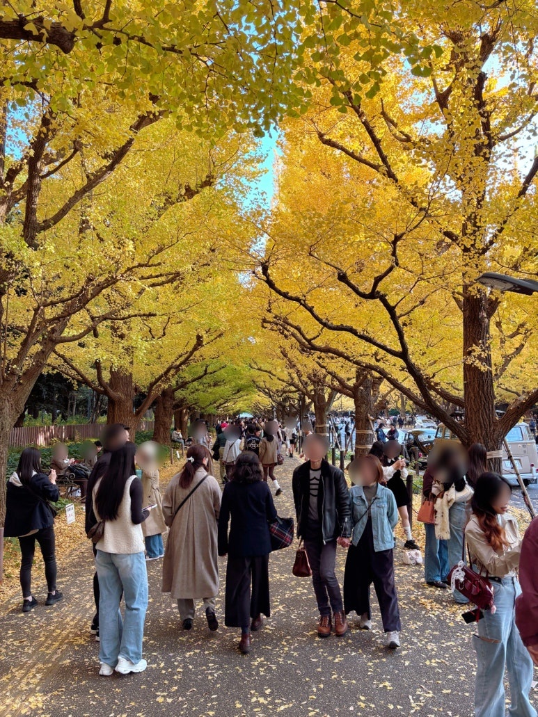 Meiji Jingu Gaien Tokyo ginkgo avenue photo zone: sidewalks on both sides