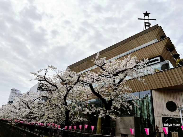 Starbucks Reserve Roastery Tokyo exterior near Nakanobashi bridge