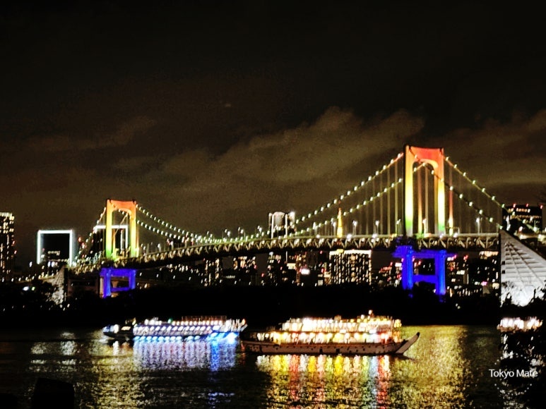 Odaiba Fireworks Night Cruise
