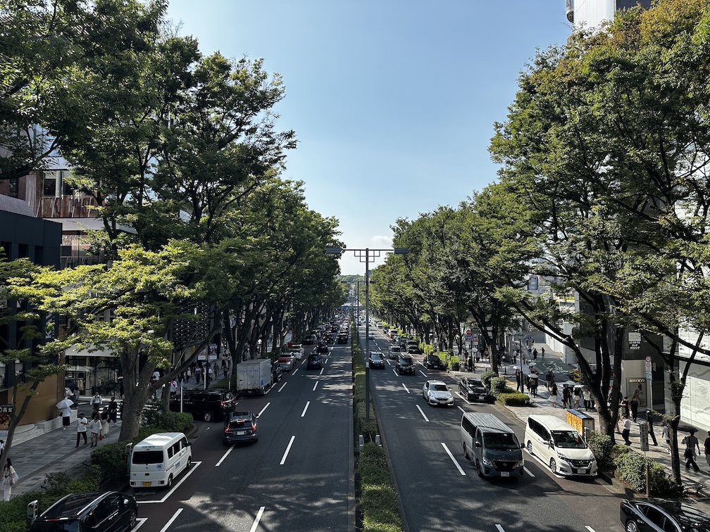 Omotesando Complete Guide 2025: Shopping, Architecture & Cafés - Tokyo's Champs-Élysées