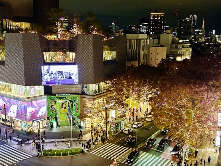 Omokado Terrace Omotesando Illumination night view