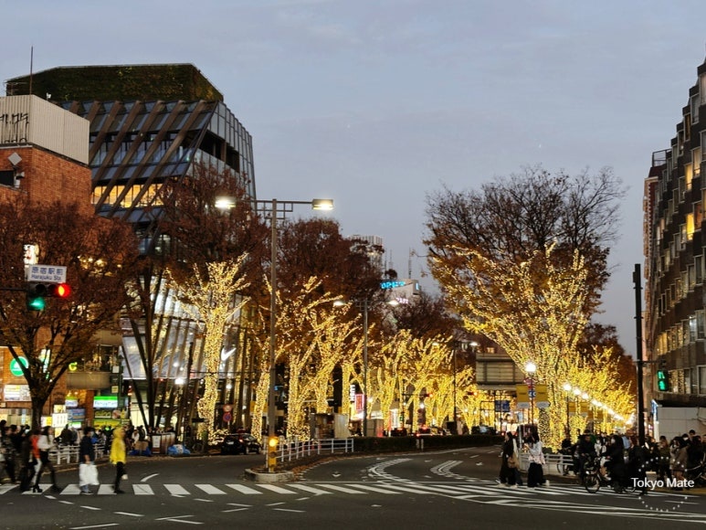 Omotesando Illumination photo spot Jingubashi Intersection
