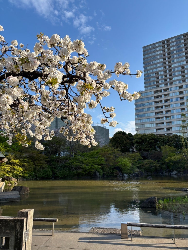 Roppongi Hills Tokyo City View Observatory