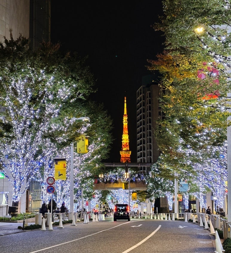 Roppongi Illumination Official Photo Spot B Point Keyakizaka Illumination (in front of Emporio Armani)