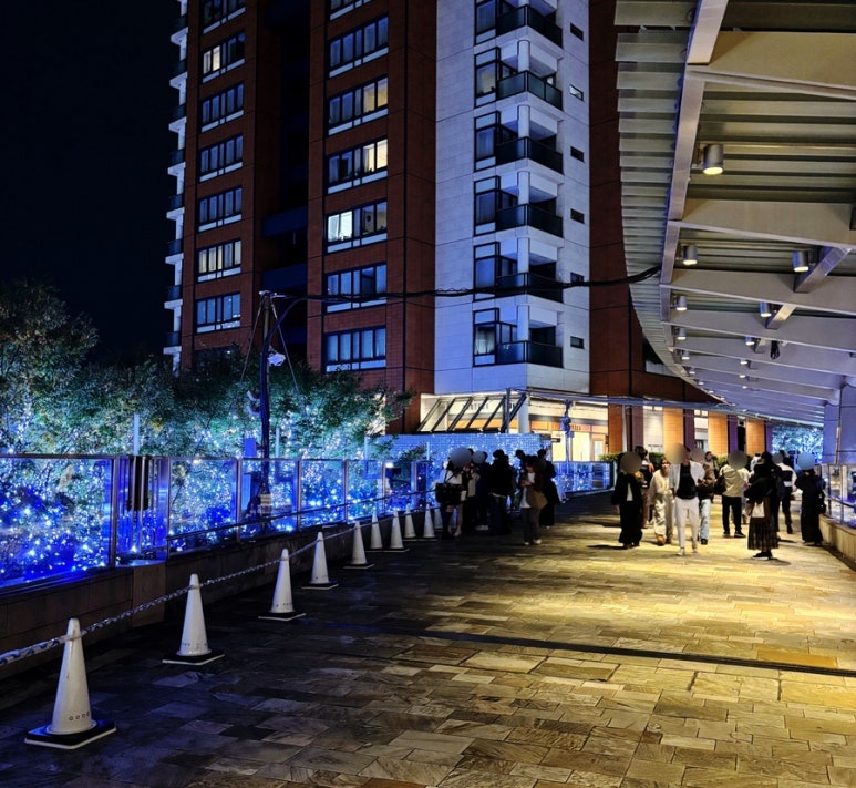 Roppongi Illumination Must-Visit Photo Spot Keyakizaka Pedestrian Bridge