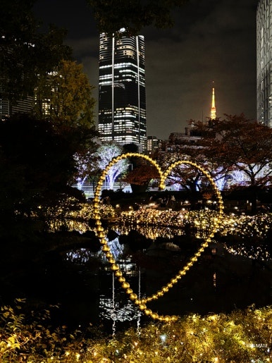 Keyakizaka street illumination