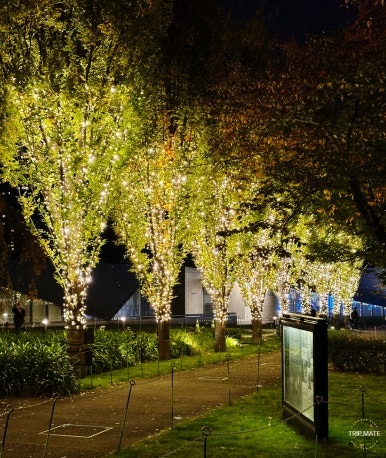 Tokyo Midtown Christmas illumination