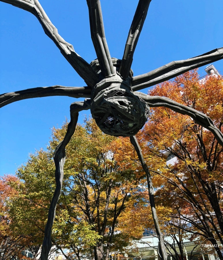 Maman spider sculpture at Roppongi Hills 66 Plaza in winter atmosphere