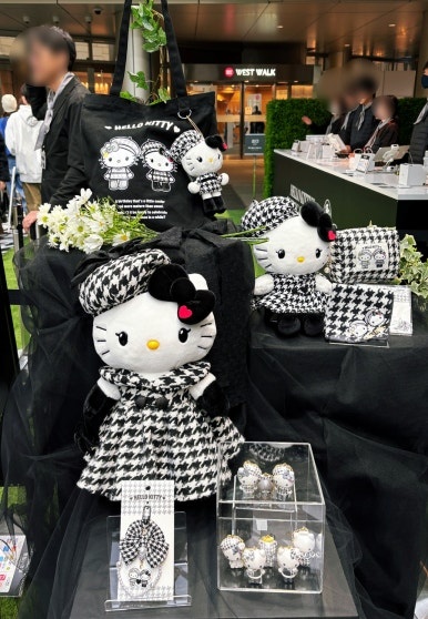 Limited merchandise item 2