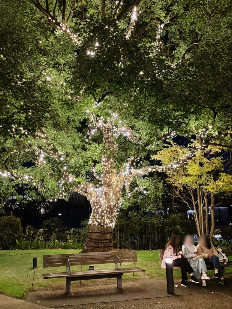 Garden bench with 2025 Roppongi Midtown Christmas illumination