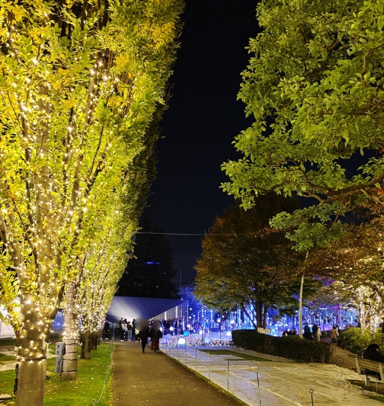 2025 Roppongi Tokyo Midtown Christmas garden illumination panorama