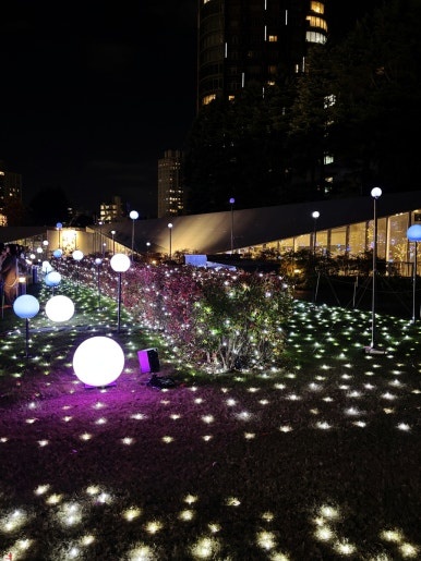 Fantastic lighting display at Tokyo Midtown Christmas Garden Lights