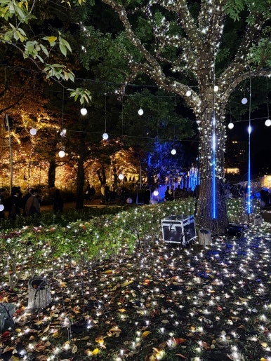 Magical illumination scenes at Christmas Garden Lights