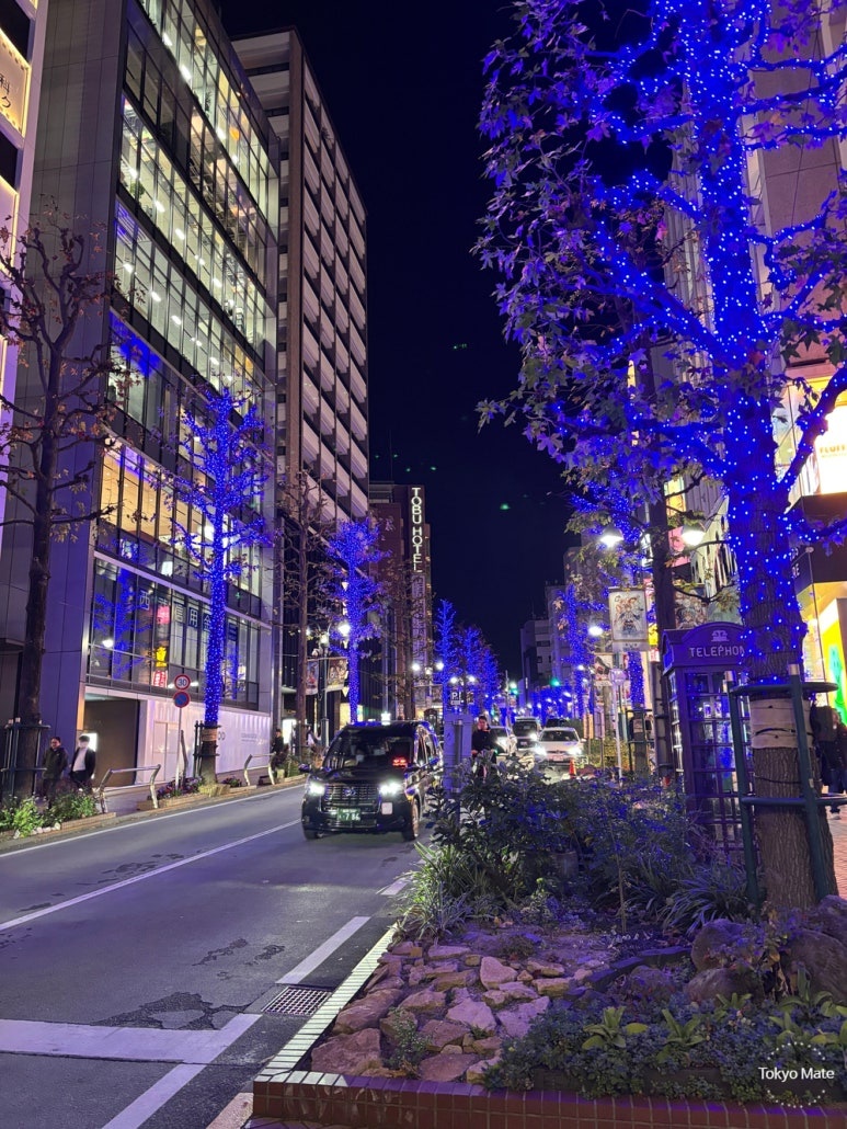 Blue illuminated tree-lined street from Shibuya Station through Parco to Blue Cave