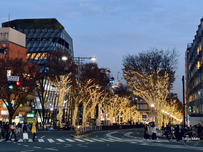 Golden lights of Omotesando Illumination 2025 street view connecting to Shibuya Blue Cave