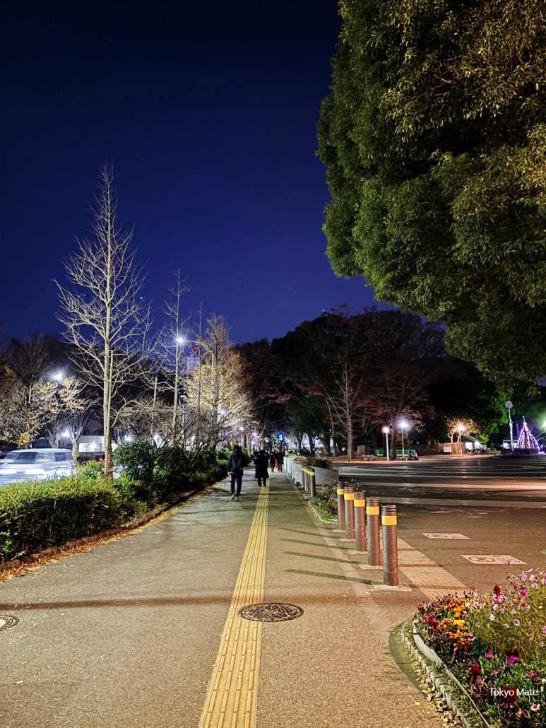 Walking route from Harajuku Station following Yoyogi Park to Blue Cave Illumination