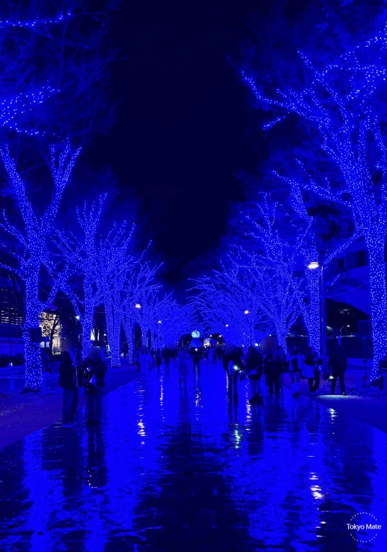 Blue lights reflected on special floor mat creating ice-like symmetrical mirror effect