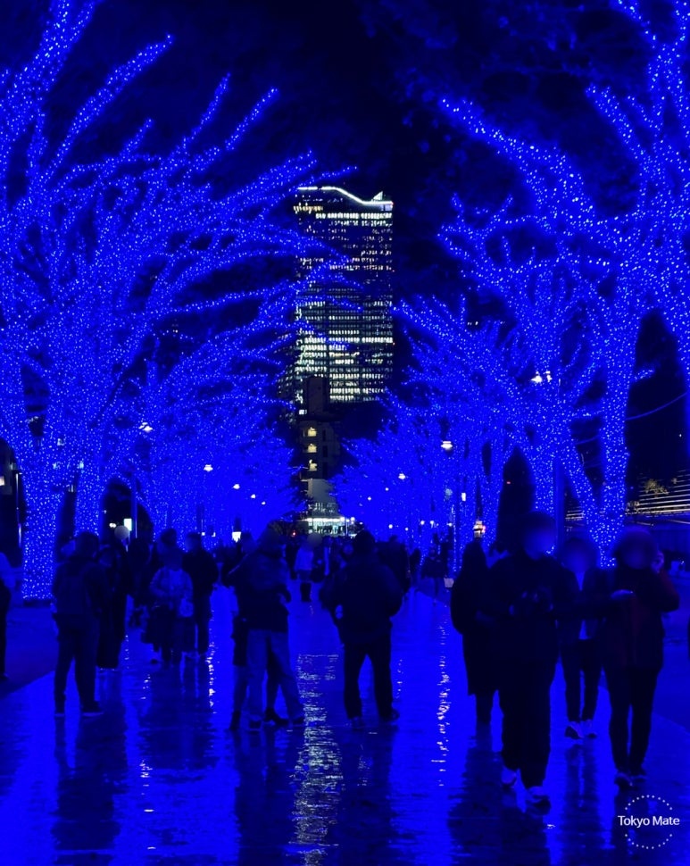Shibuya Scramble Square Shibuya Sky night view visible through blue illumination tunnel