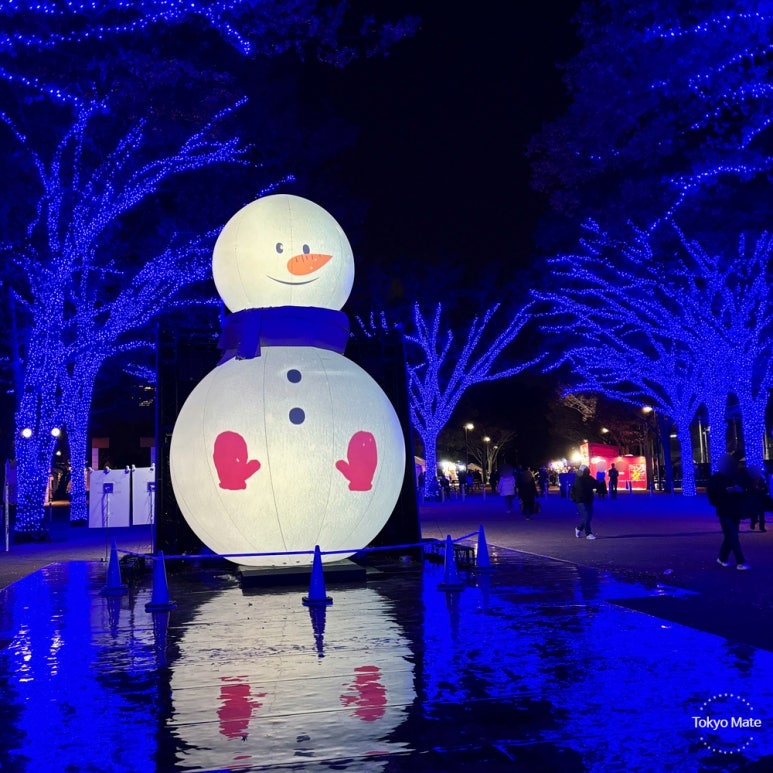 December Tokyo Shibuya Blue Cave Illumination crowds and winter travel outfit reference