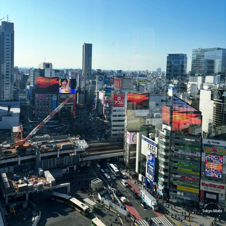Shibuya Hikarie 11F daytime panoramic city view