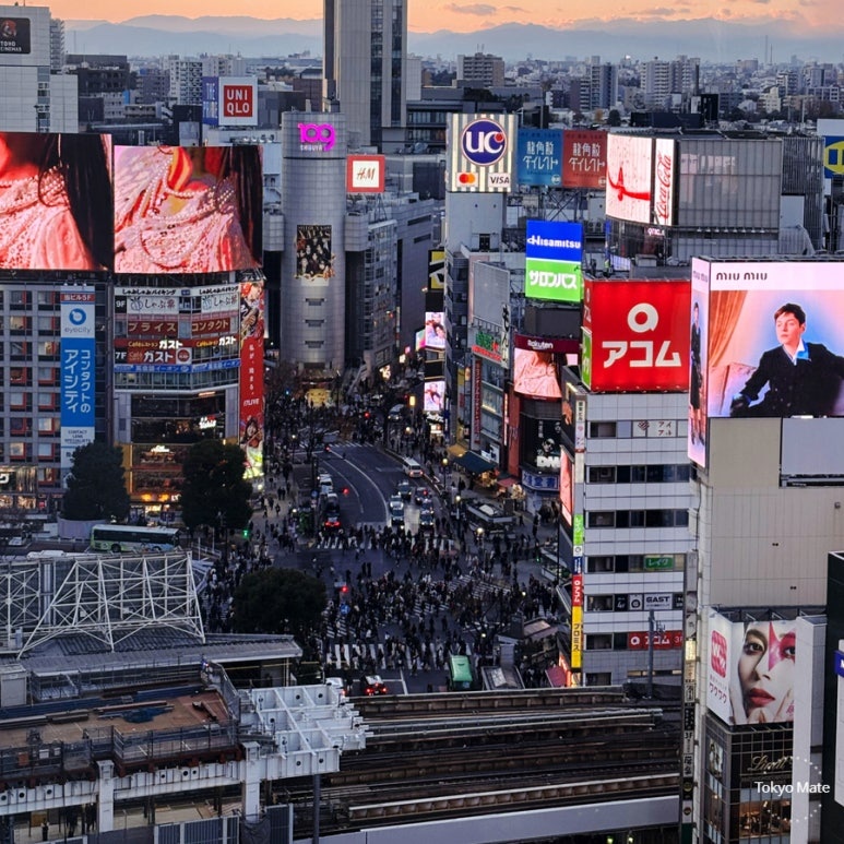 Shibuya Scramble Crossing viewed from Hikarie 11F Sky Lobby