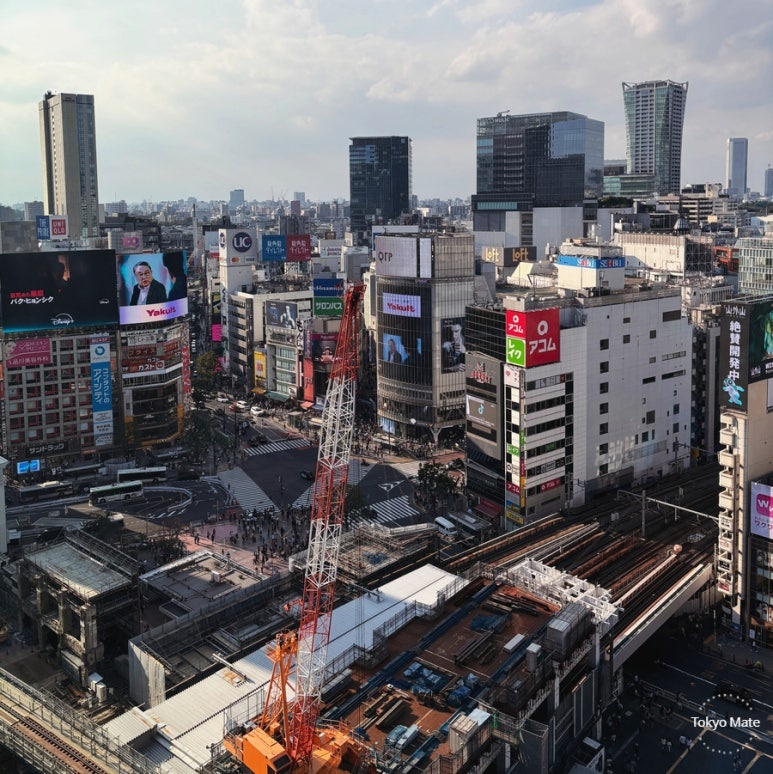 Night view of Shibuya Scramble Crossing from TsuruTonTan window seat