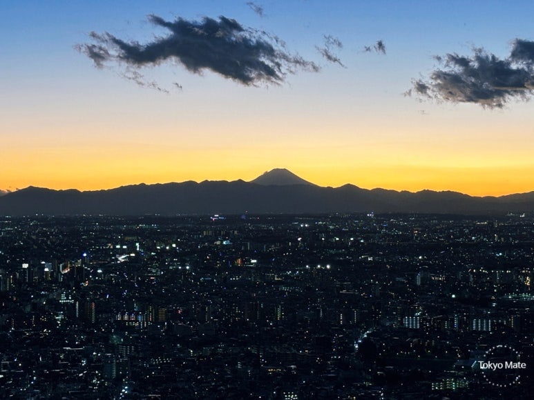 Mt. Fuji Night View from Tokyo Metropolitan Government Observatory