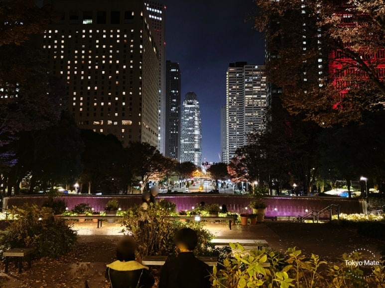 Shinjuku Chuo Park Night View