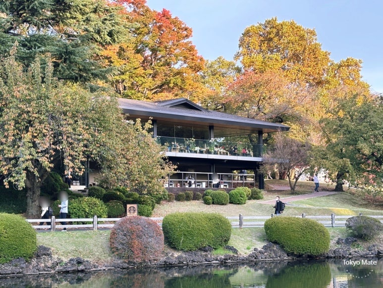 Starbucks Shinjuku Gyoen exterior during cherry blossom season